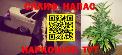 apvp Гагарин