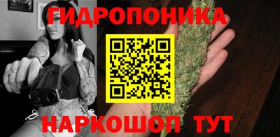 apvp Гагарин